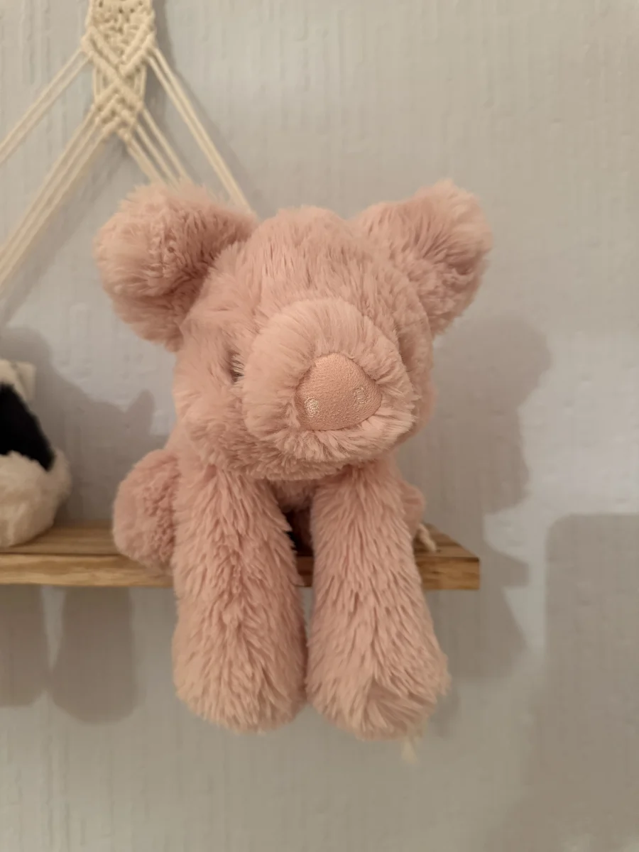Front - Smudge Pig photo by Bethanyxox