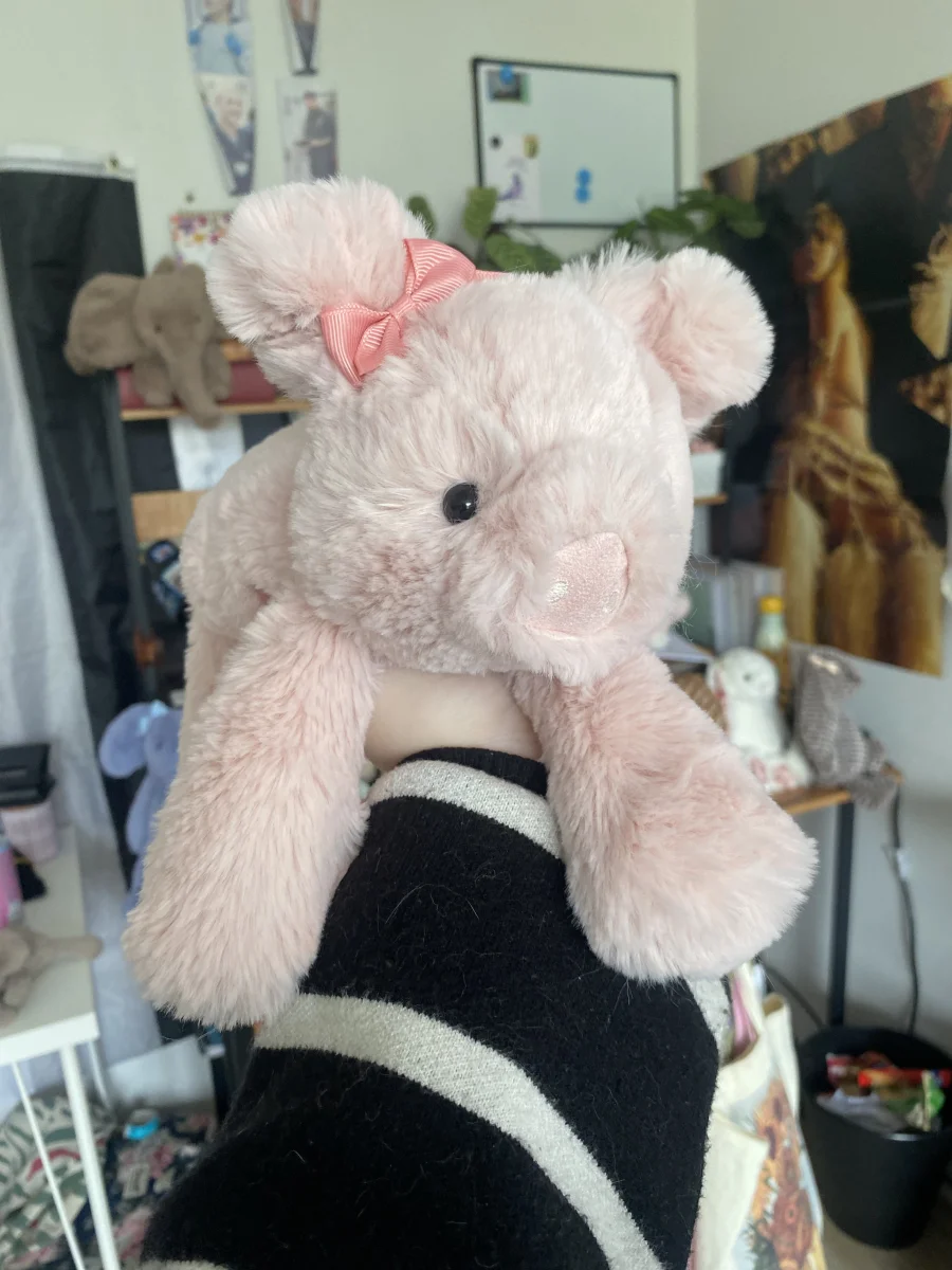 Front - Smudge Pig photo by shoshanayael