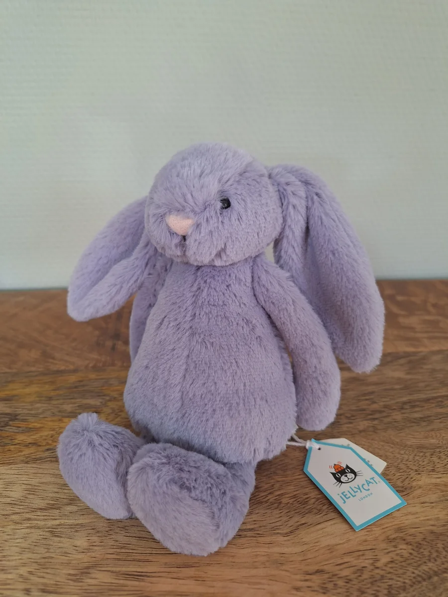 Front - Bashful Viola Bunny - Small photo by Sofie