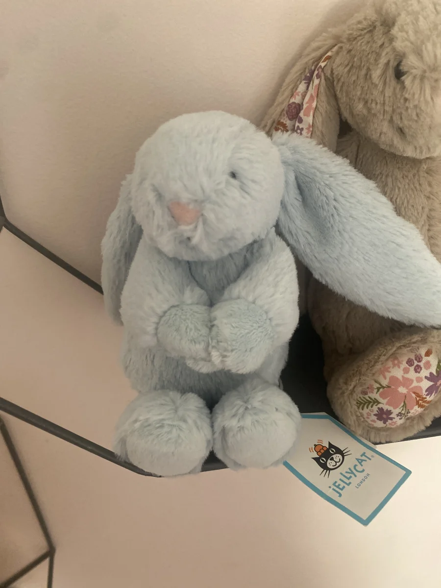 Front - Bashful Dusky Blue Bunny Soother photo by Mollysjellys