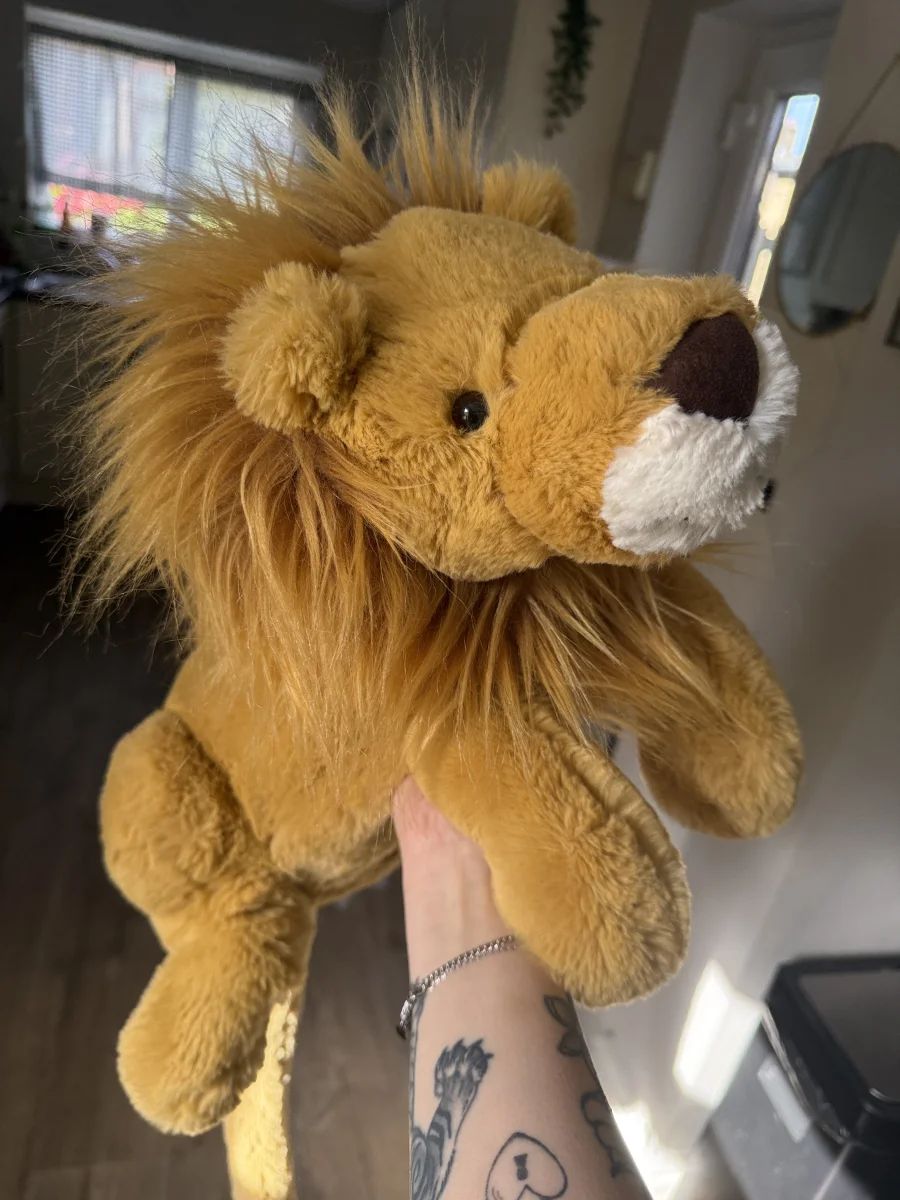 Front - Louie Lion - Large photo by tashasayshello