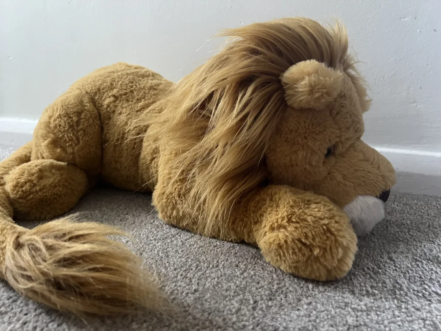 Side - Louie Lion - Large photo by Axel