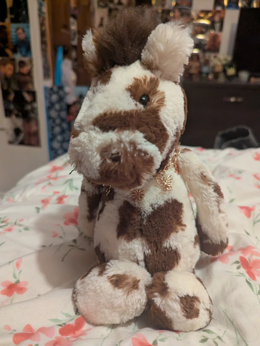 Front - Bashful Pinto Pony - Medium photo by Coco_5