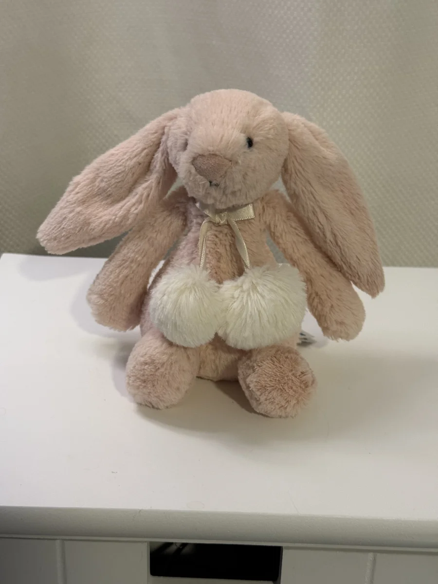 Front - Bashful Blush Snow Bunny photo by Bunnylove