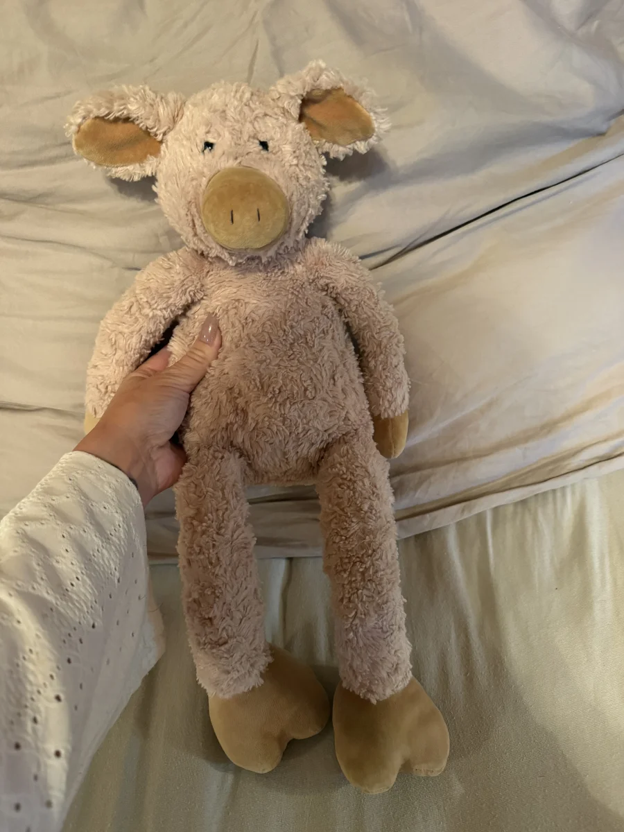 Front - Pickles Pig - Medium photo by MissMolly