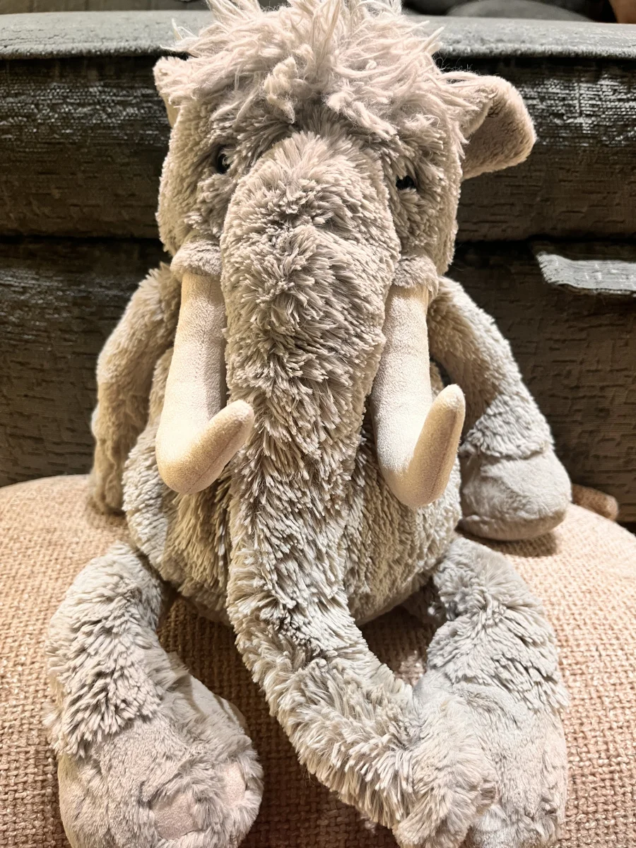 Front - Viggo Mammoth photo by BillieHarv