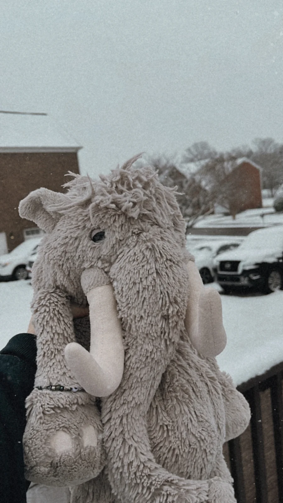 Lifestyle - Viggo Mammoth photo by LovelyChicken