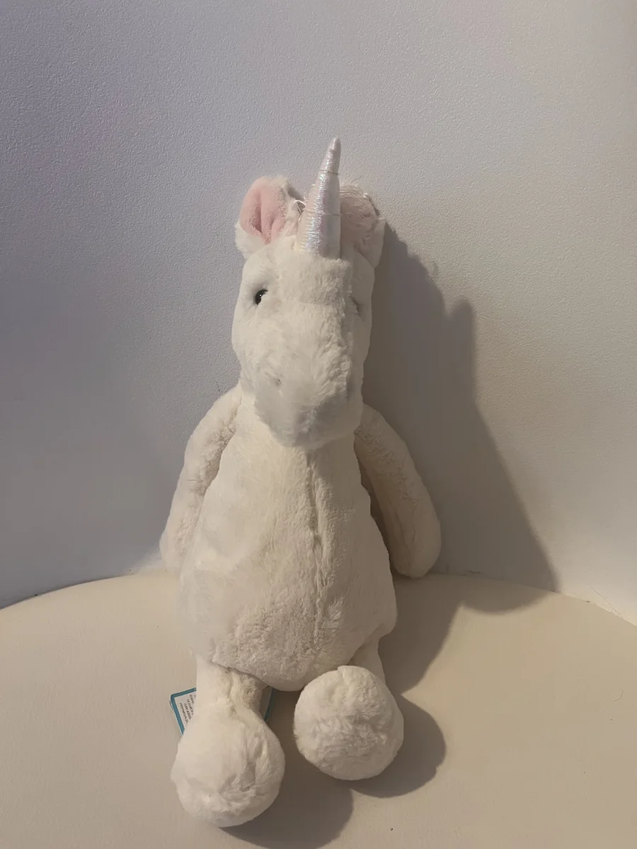 Front - Bashful Unicorn (2015) photo by lilaroseshelton