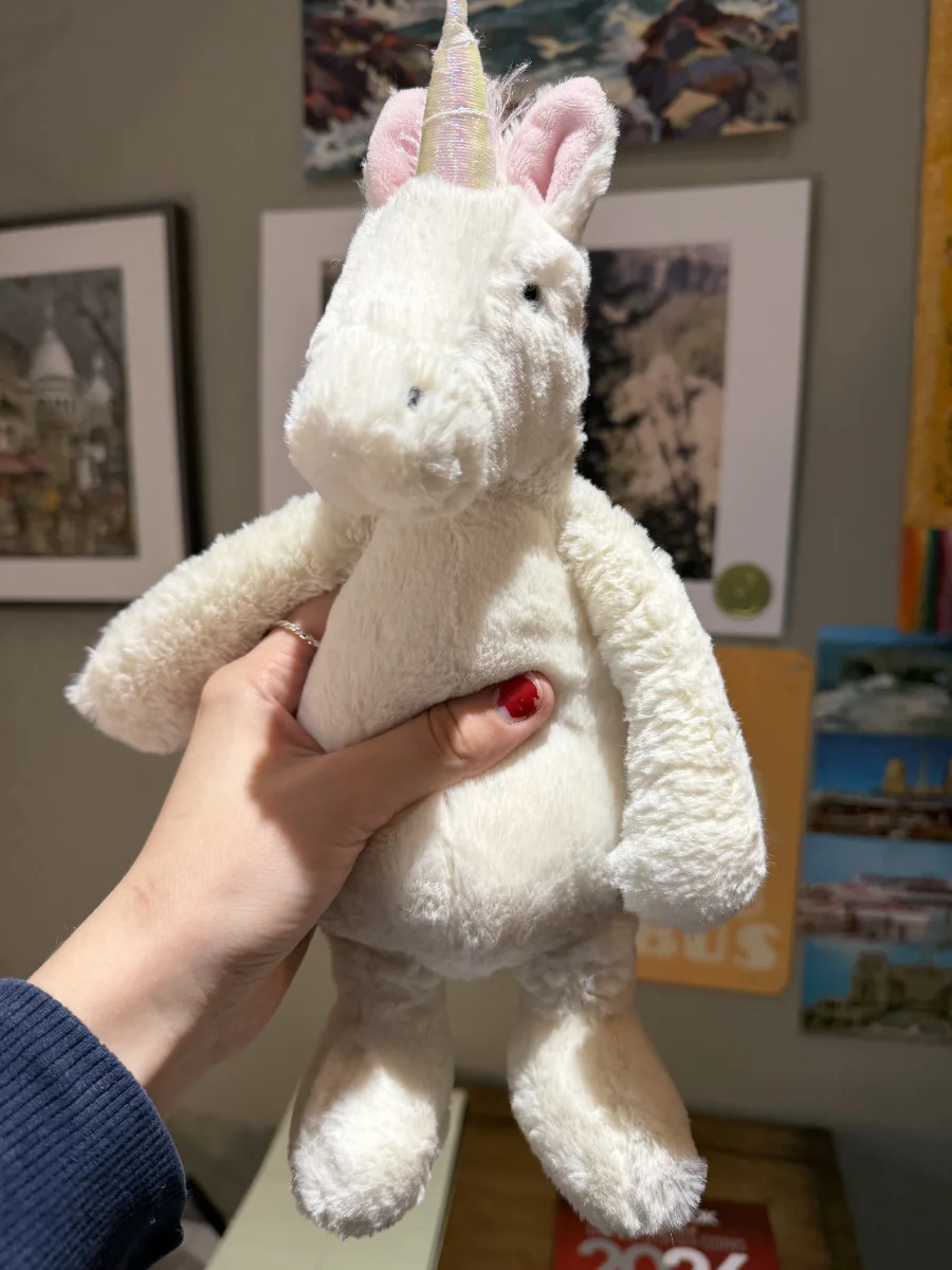 Front - Bashful Unicorn (2015) photo by amandamariejelly