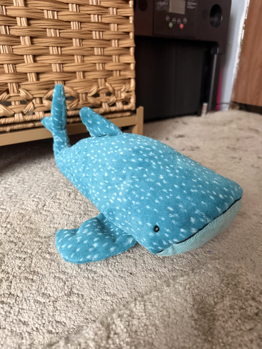Lifestyle - Gobfrey Whale Shark photo by kerggy