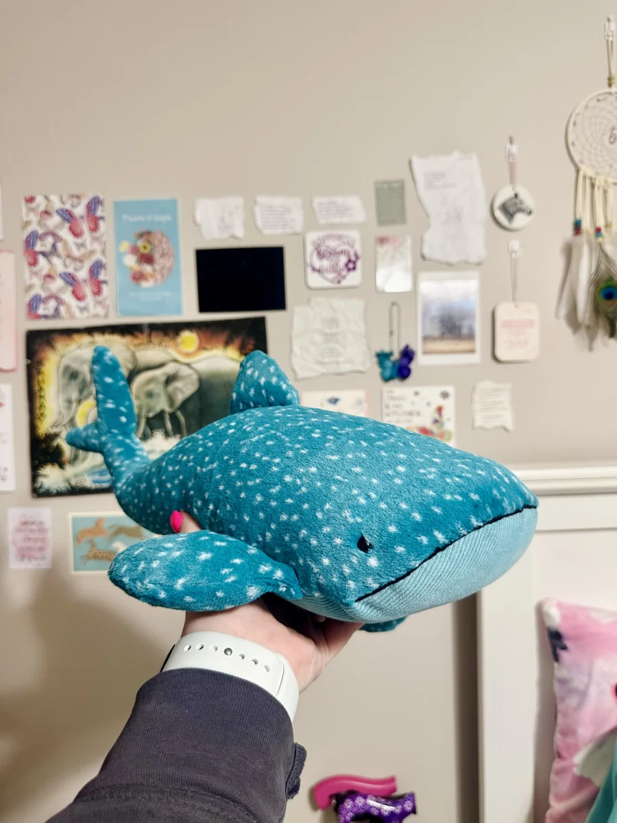 Lifestyle - Gobfrey Whale Shark photo by kc_plushies