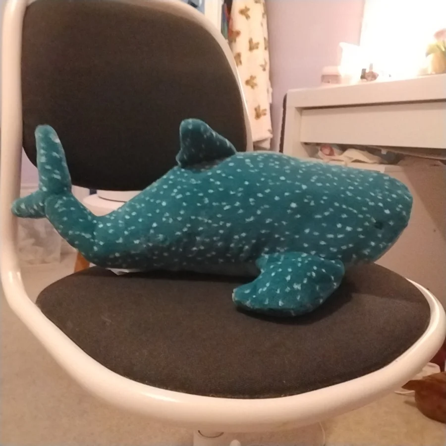Side - Gobfrey Whale Shark photo by TheJellyCollector