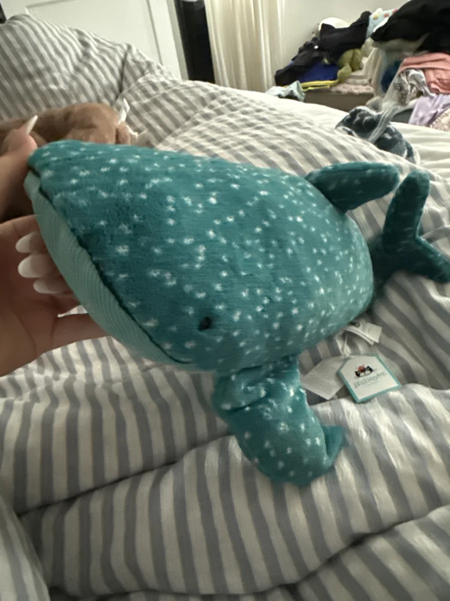 Front - Gobfrey Whale Shark photo by paigev2005