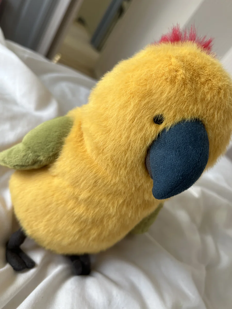 Side - Budgeby Parrot photo by Jellycatlover24