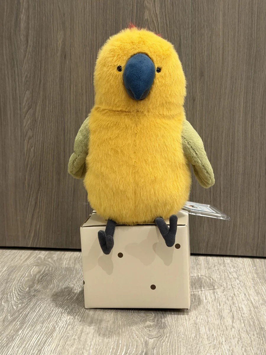 Front - Budgeby Parrot photo by BunnyBPatt