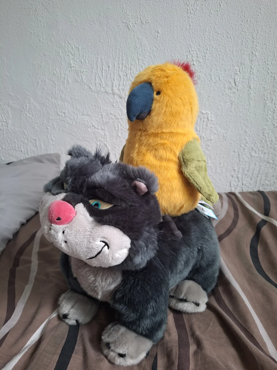 Side - Budgeby Parrot photo by BuckyJelly
