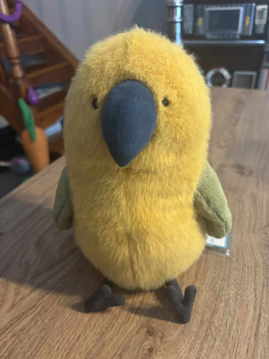 Front - Budgeby Parrot photo by CharlieP