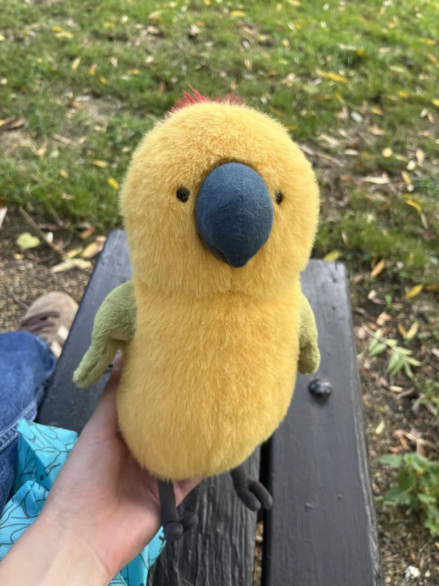 Front - Budgeby Parrot photo by AmysJellycatCorner