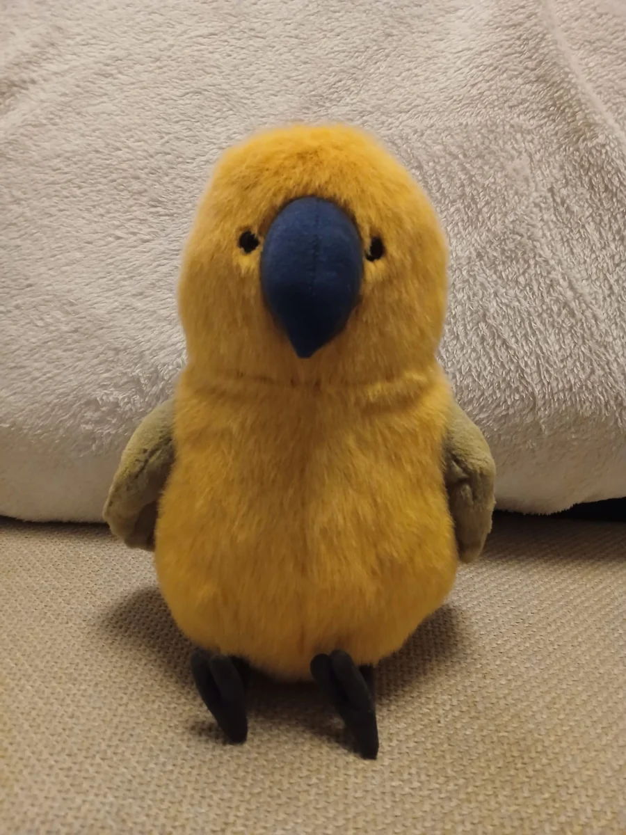 Front - Budgeby Parrot photo by Cuddleplushie1
