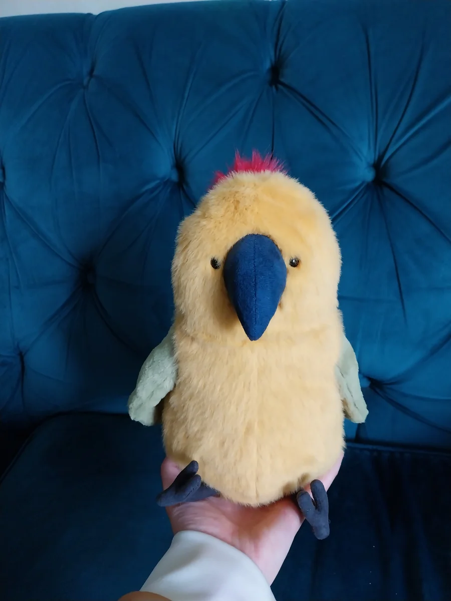 Front - Budgeby Parrot photo by Griffin