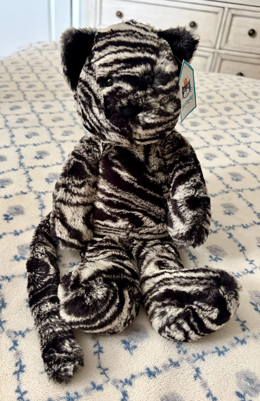 Front - Carys Charismatic Cat photo by Stephmarie207