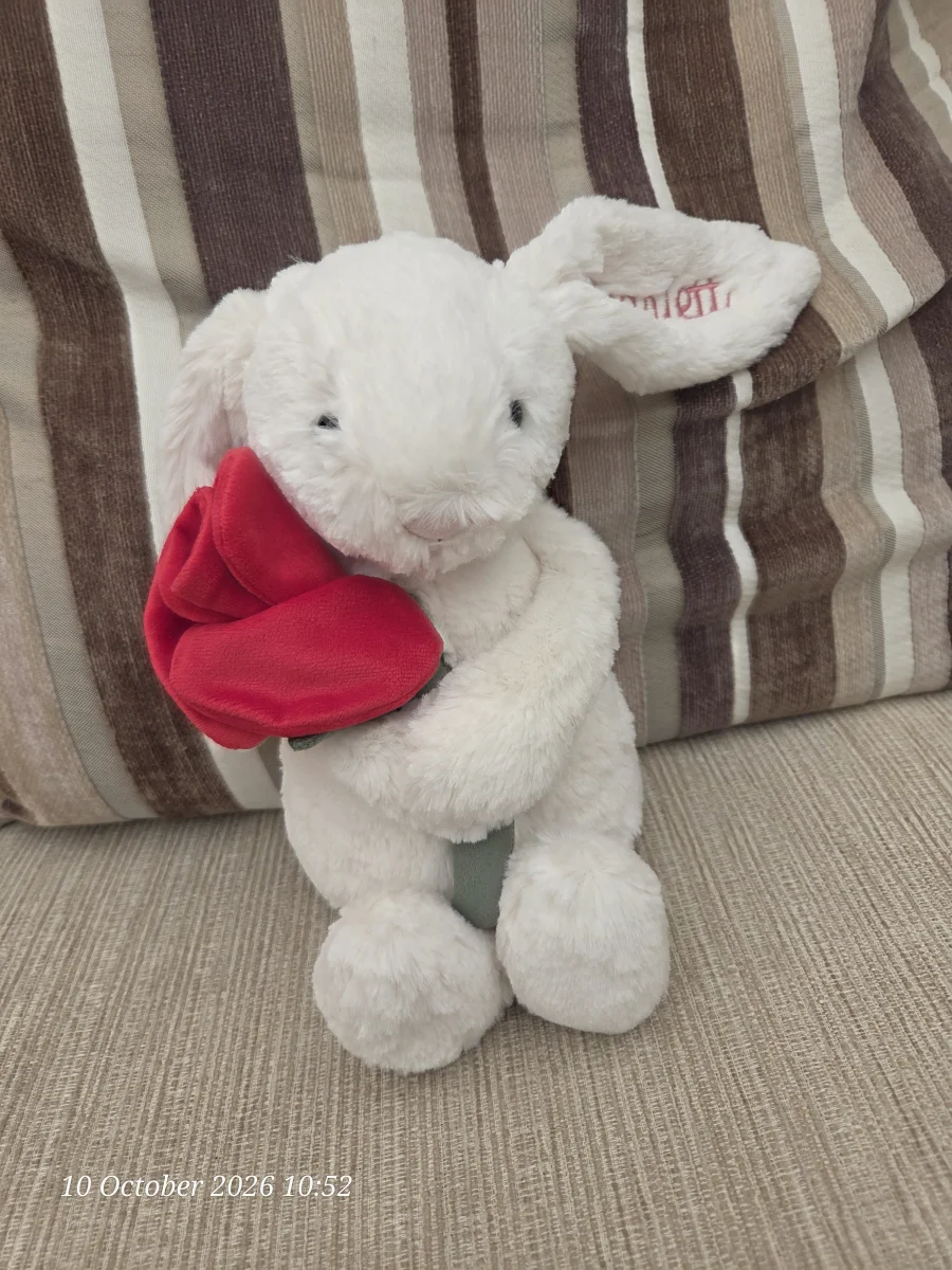 Front - Personalised Cream Bunny with Rose photo by SJCLJelly
