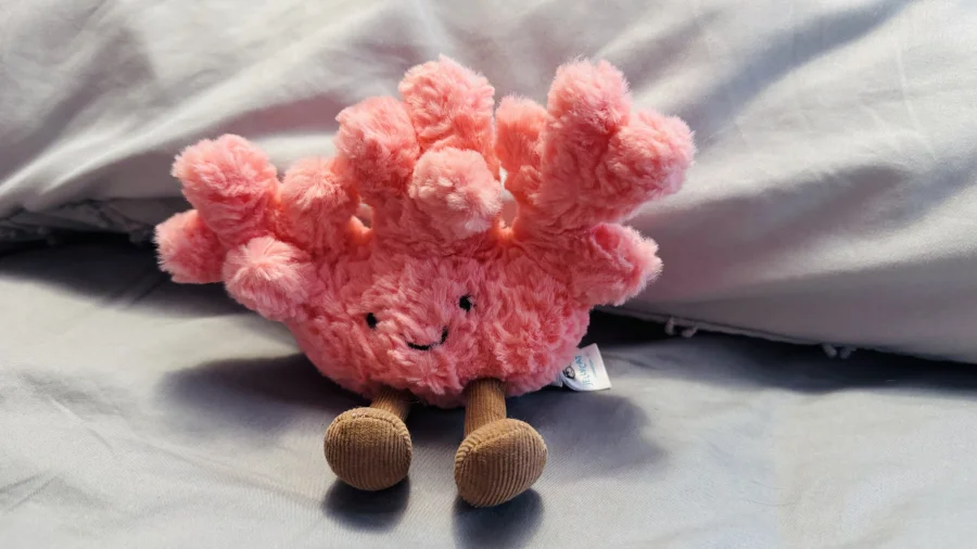 Front - Amuseables Coral photo by EmmaLM
