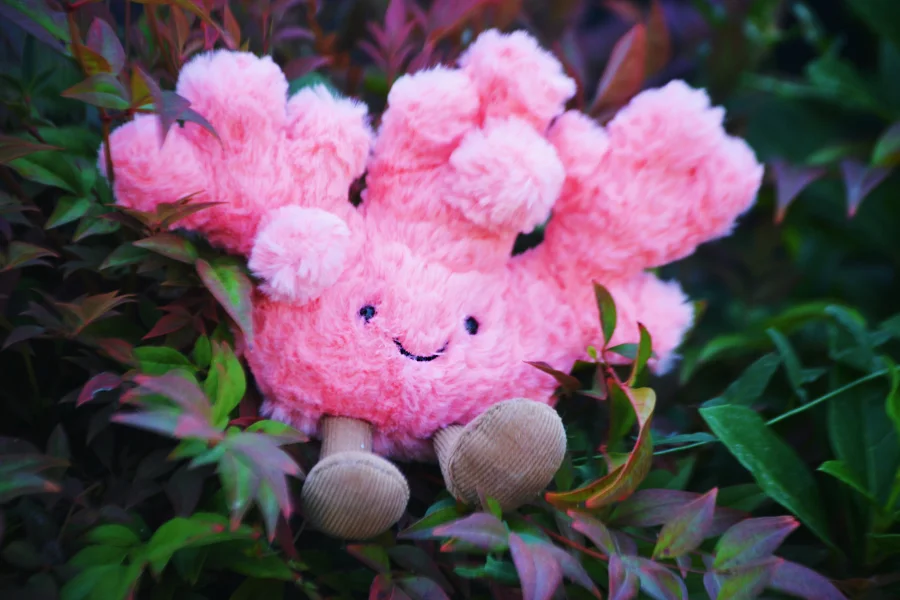 Lifestyle - Amuseables Coral photo by Vivi68
