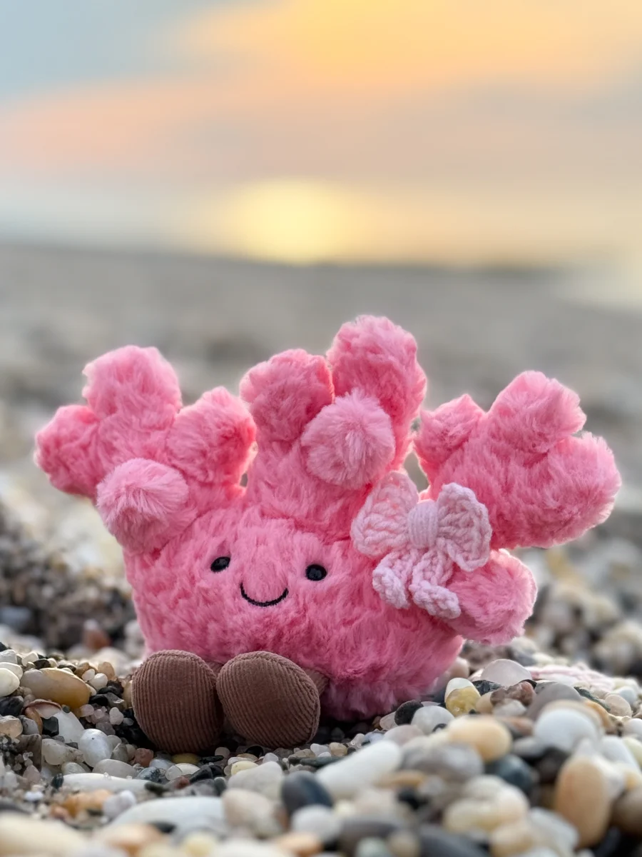 Front - Amuseables Coral photo by cosymoth