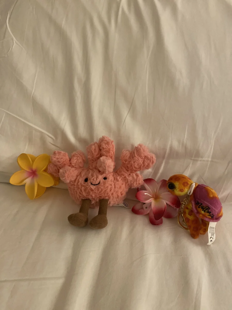 Lifestyle - Amuseables Coral photo by Swiftiejellycat