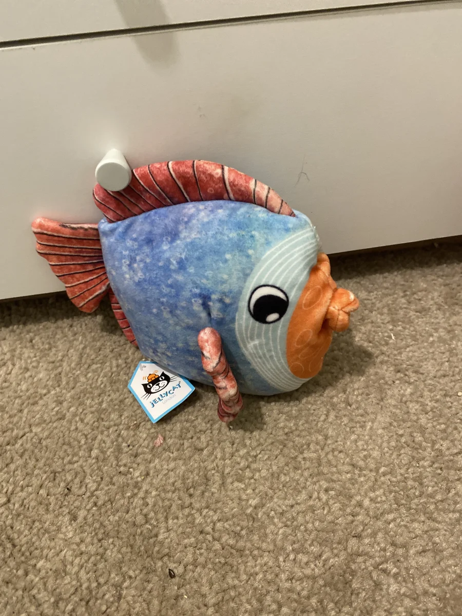 Side - Fishiful Blue photo by Lilly2026