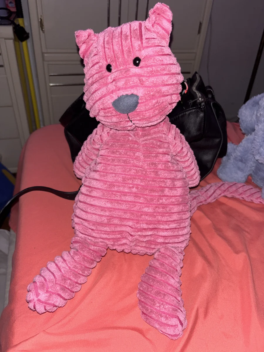 Front - Cordy Roy Cat - Medium photo by MommyNCharJelly