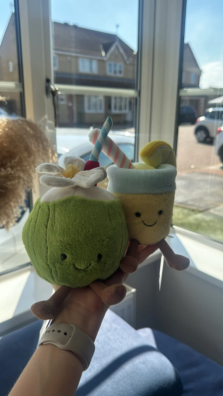 Front - Amuseables Lemonade photo by Oliviagrace