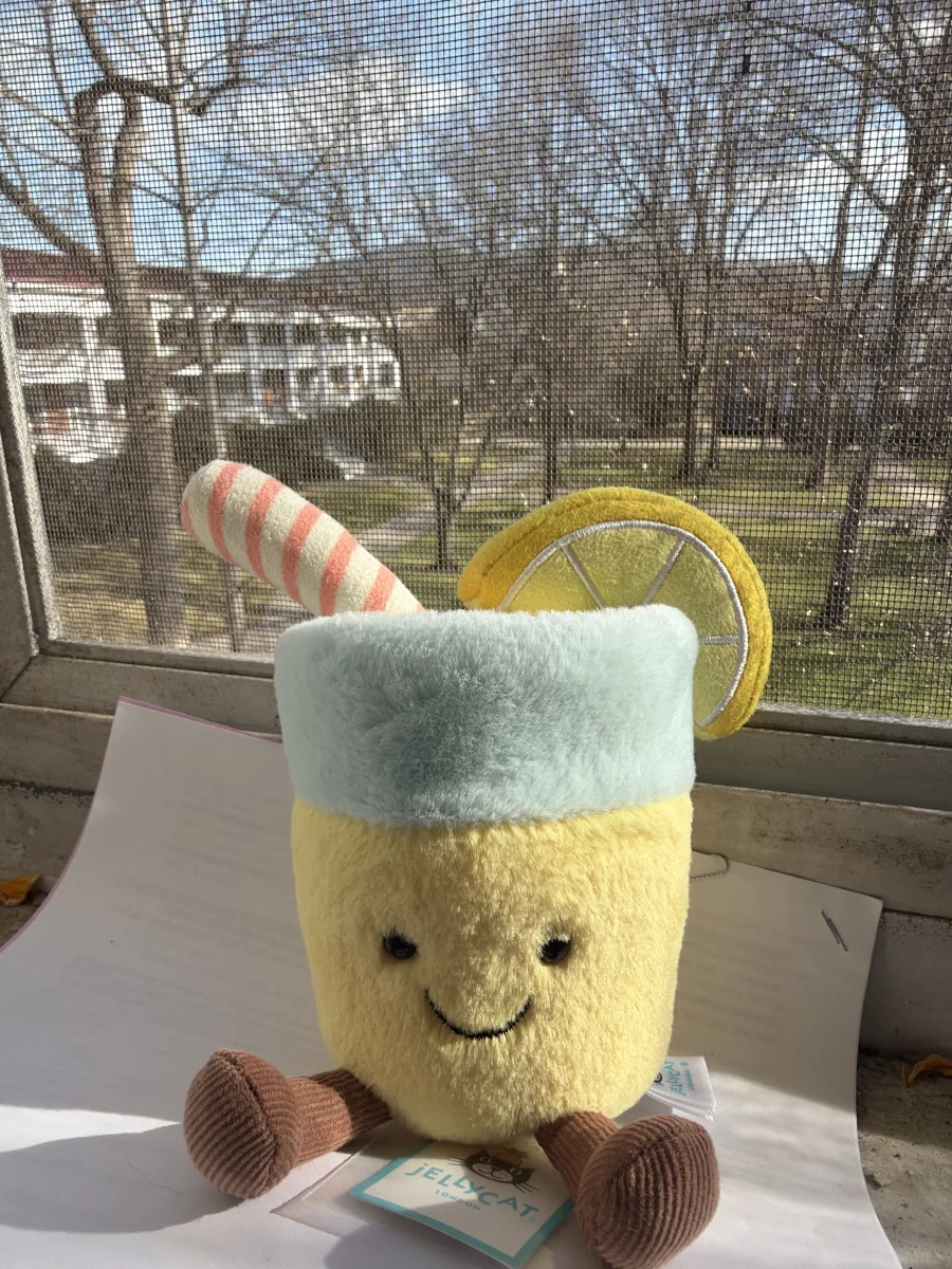 Front - Amuseables Lemonade photo by katsjellies