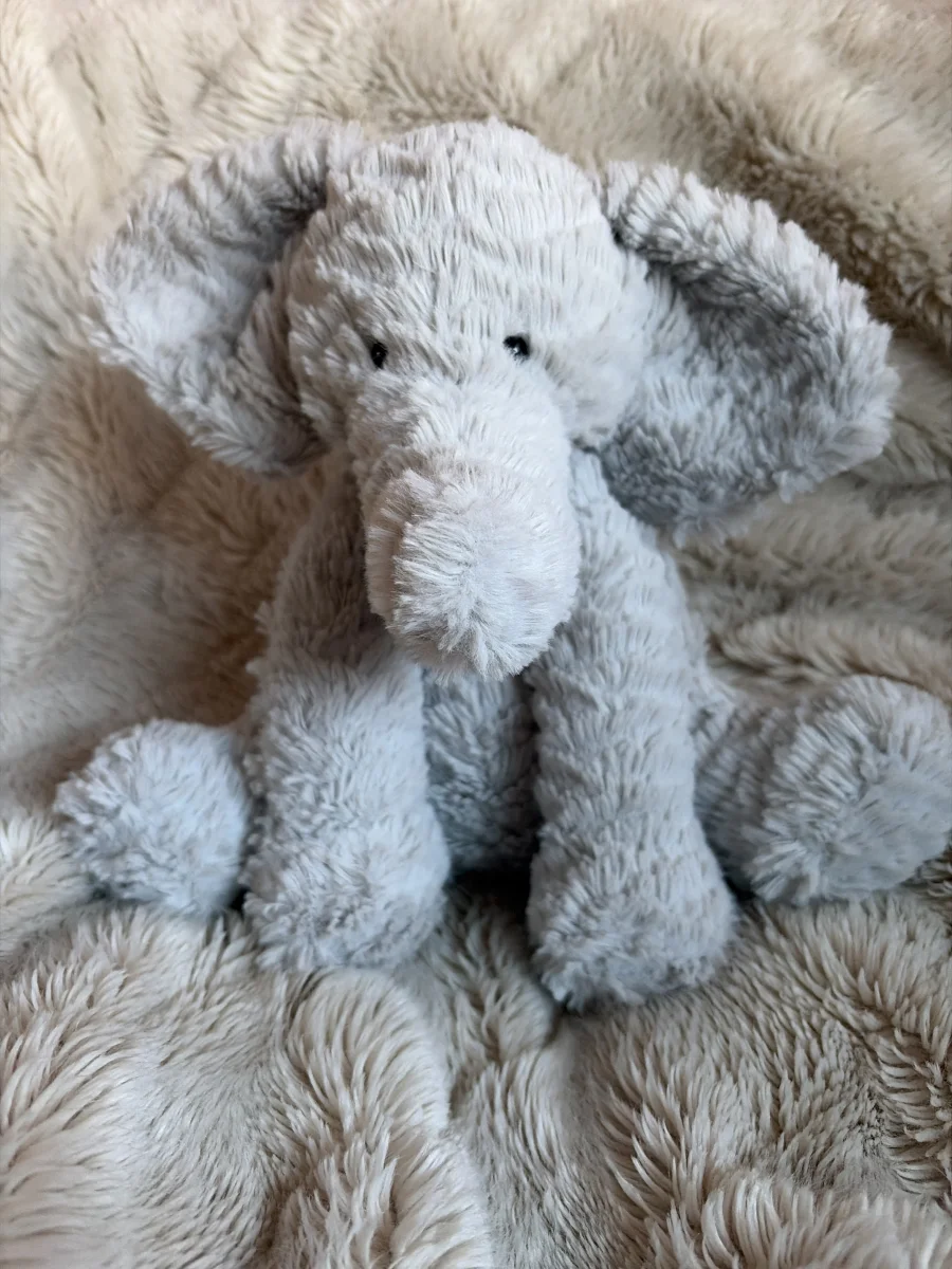 Front - Fuddlewuddle Elephant - Large photo by Hifriends