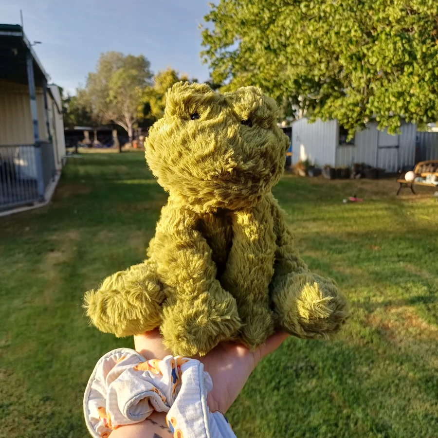 Front - Fuddlewuddle Frog - Medium photo by herbgardenplush