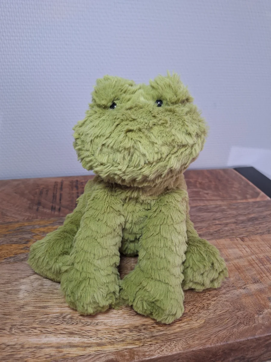 Front - Fuddlewuddle Frog - Medium photo by Sofie