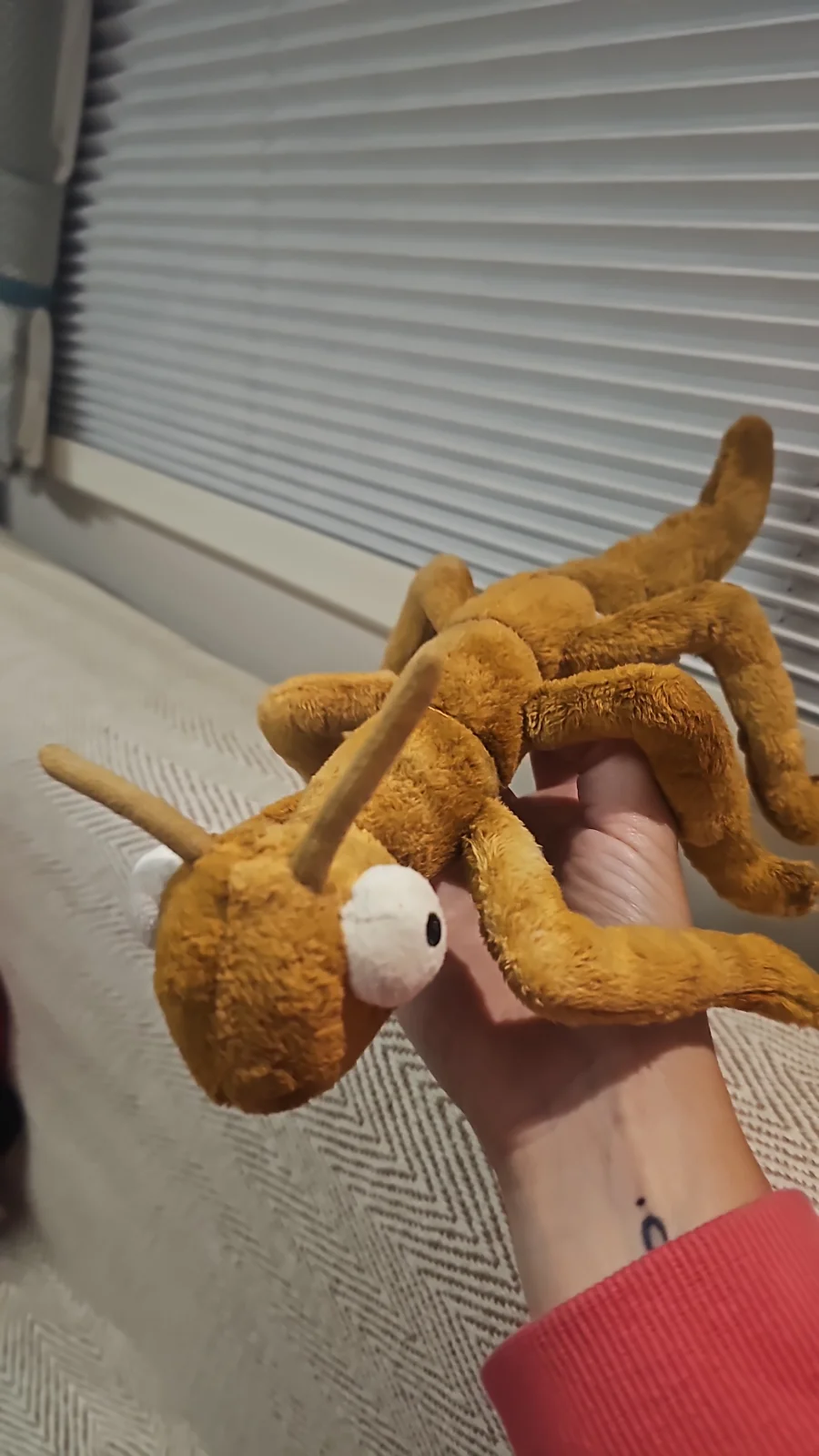 Front - Stanley Stick Insect photo by Georgina80