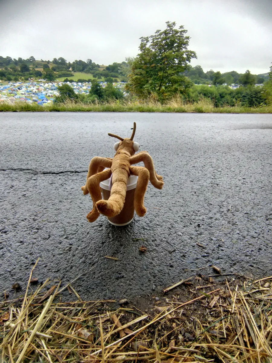 Back - Stanley Stick Insect photo by Boo