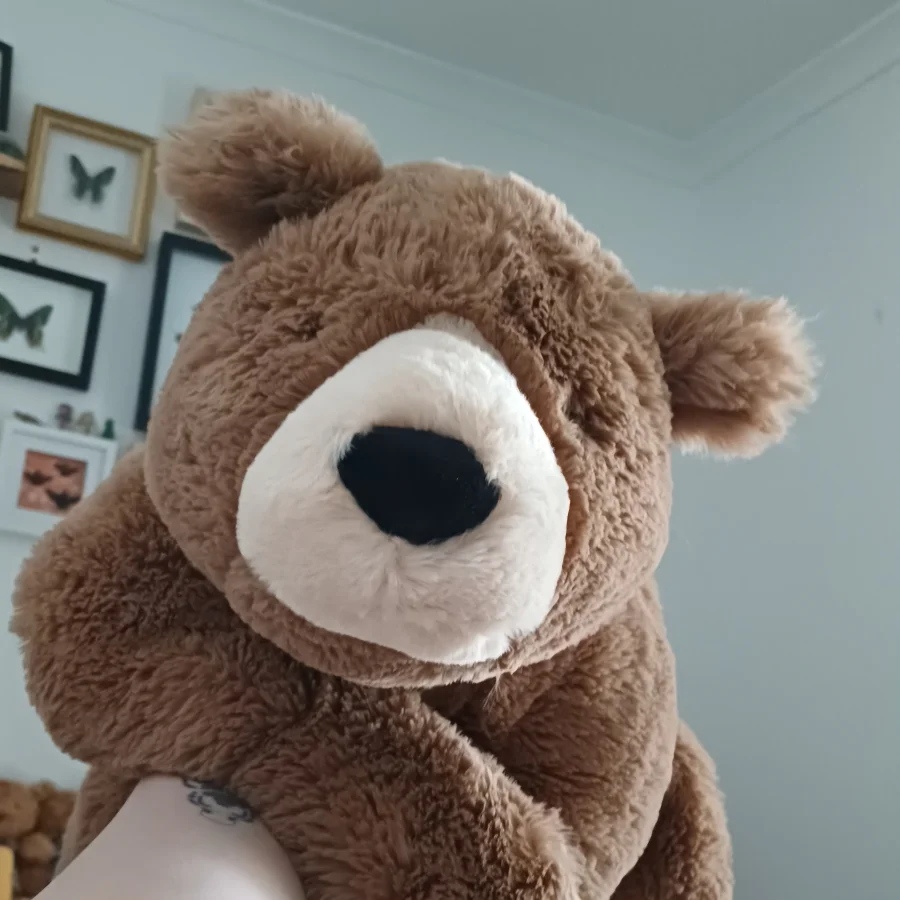 Front - Woody Bear Lying photo by herbgardenplush