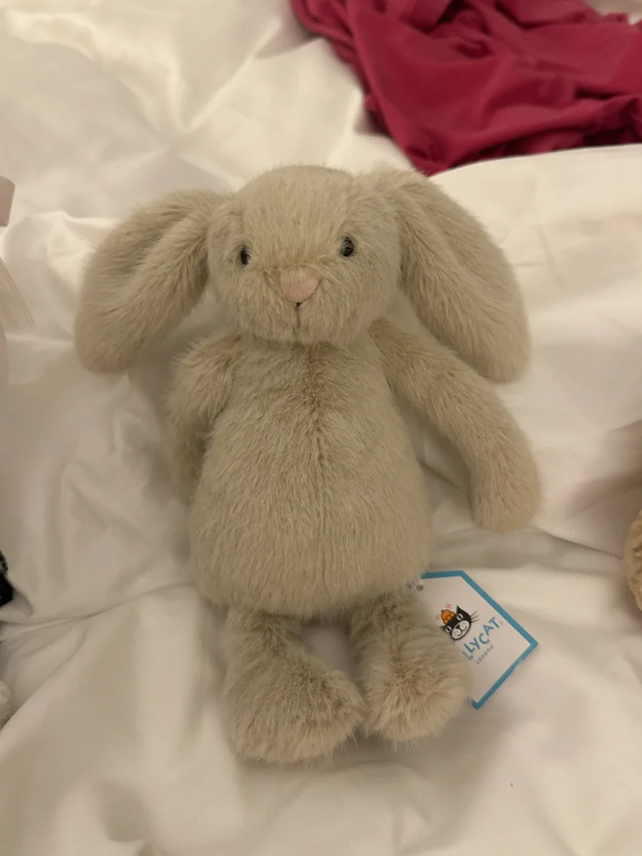 Front - Wheat Flufflet Bunny photo by brooklynnmc