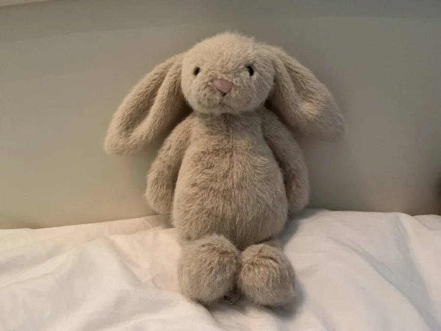 Front - Wheat Flufflet Bunny photo by Jellys2015