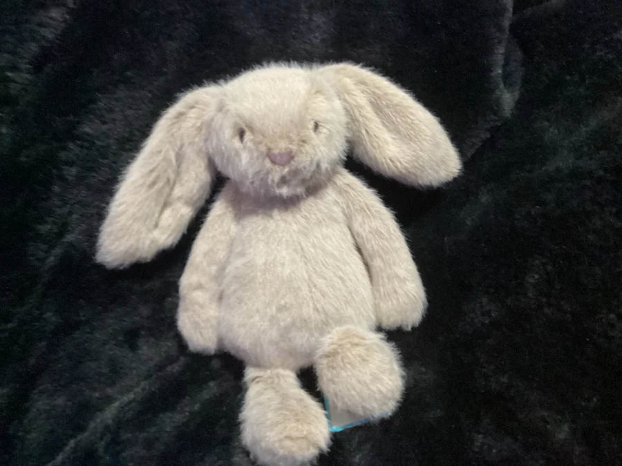 Front - Oat Flufflet Bunny photo by Jellybunnys1984