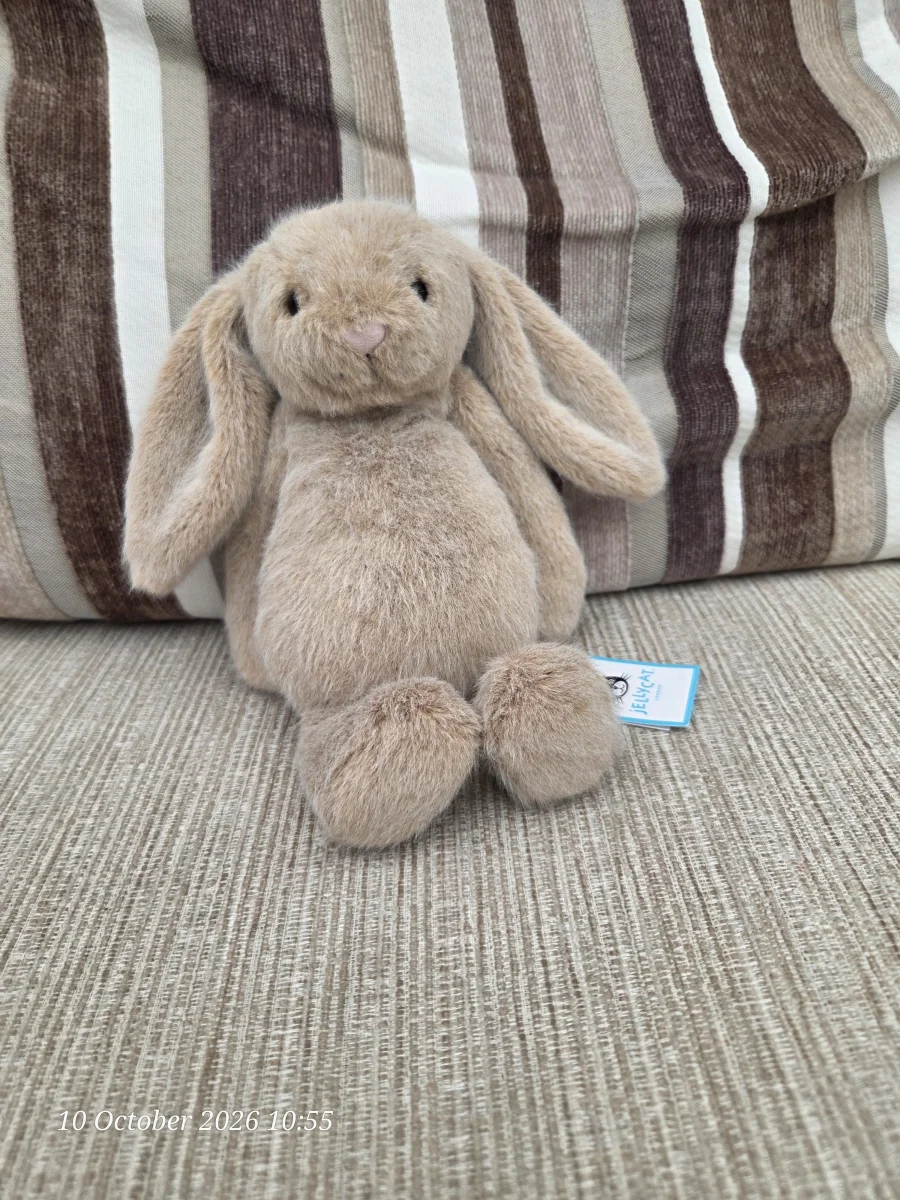 Front - Oat Flufflet Bunny photo by SJCLJelly