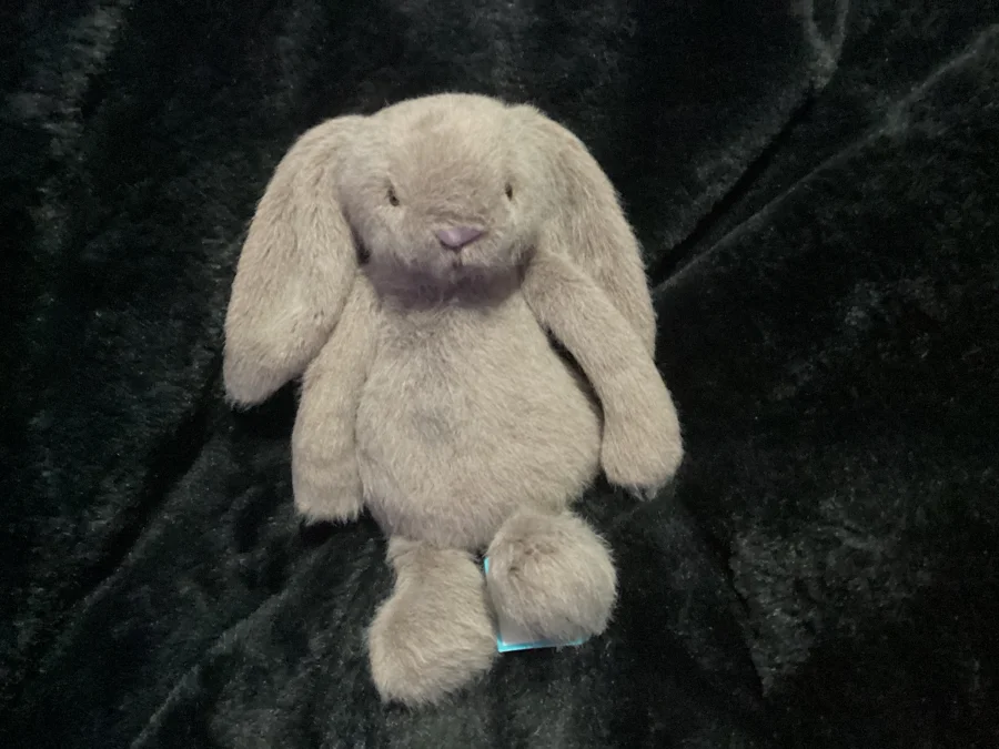 Front - Fawn Flufflet Bunny photo by Jellybunnys1984