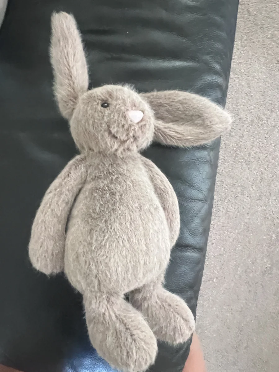 Front - Fawn Flufflet Bunny photo by Grogu