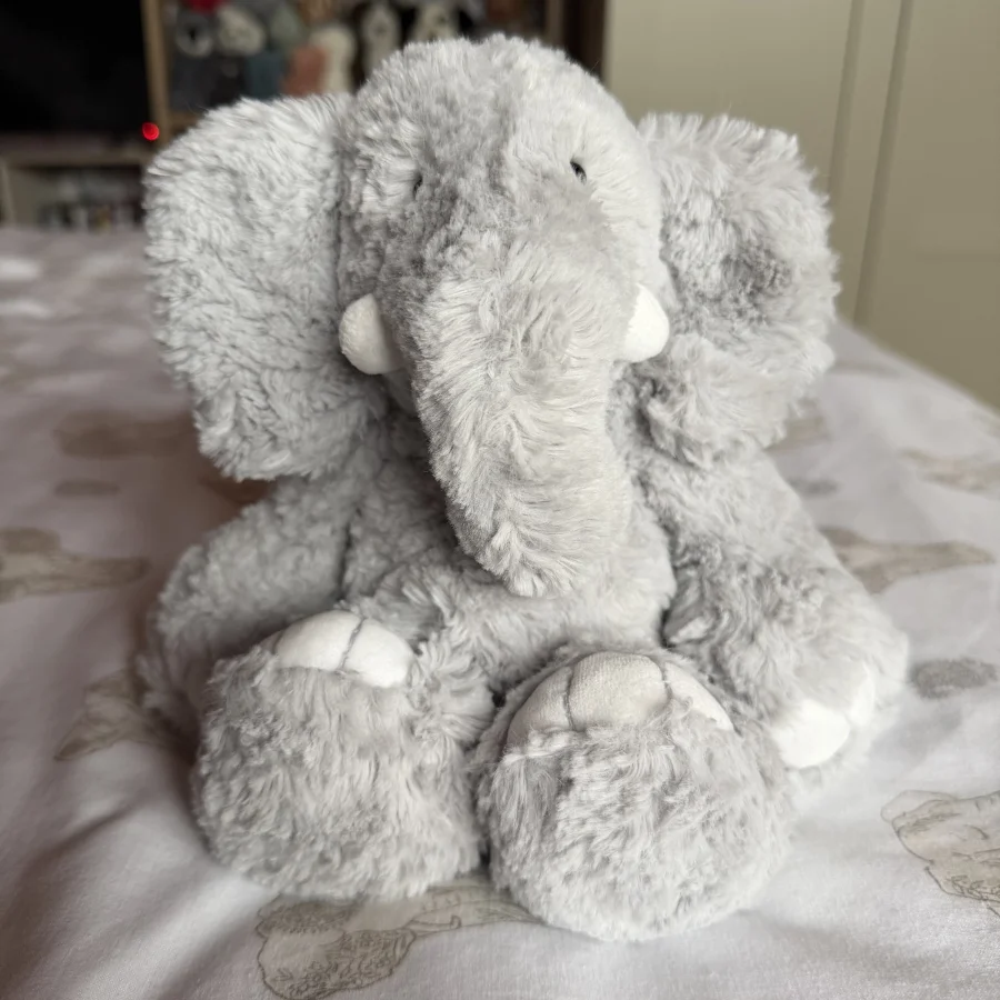 Front - Rollo Elephant - Medium photo by Rach01