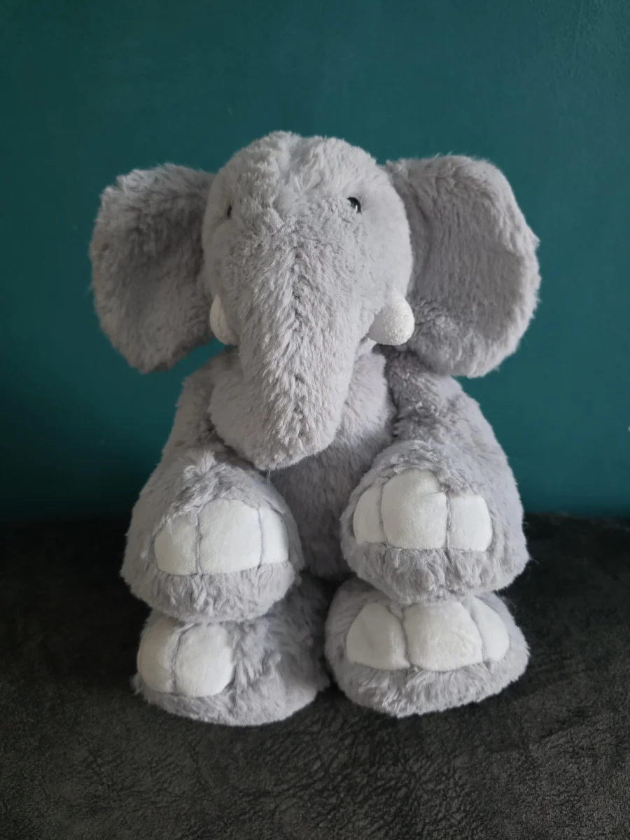 Front - Rollo Elephant - Medium photo by Lulu93