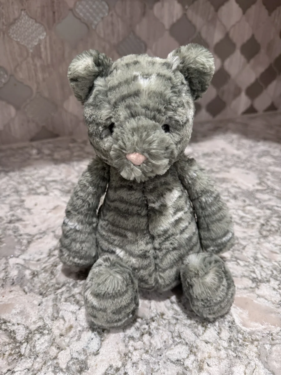 Front - Bashful Tabby Kitten - Medium photo by SnowLeopard821