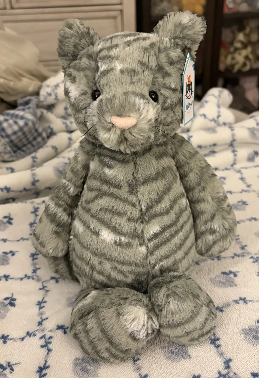 Front - Bashful Tabby Kitten - Medium photo by Stephmarie207